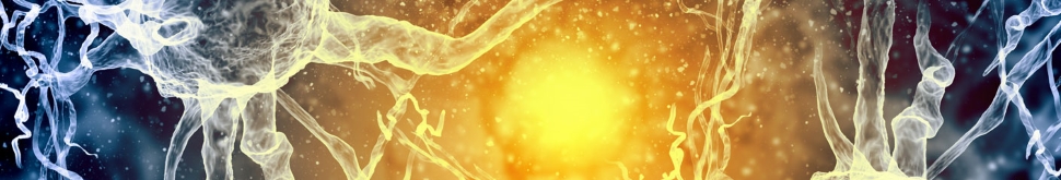 Mitochondrien-Power I: So geht Anti-Aging heute