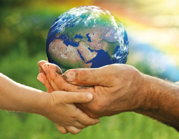 Natürliche Landwirtschaft