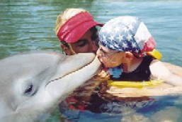 Dolphin Aid