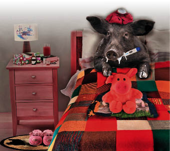 Schweinegrippehysterie