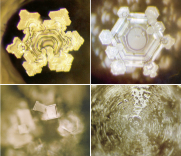 Wasserkristalle nach Masaru Emoto