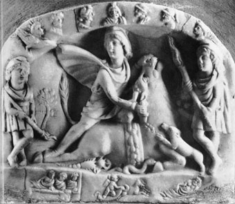 Stieropfer in Bologna