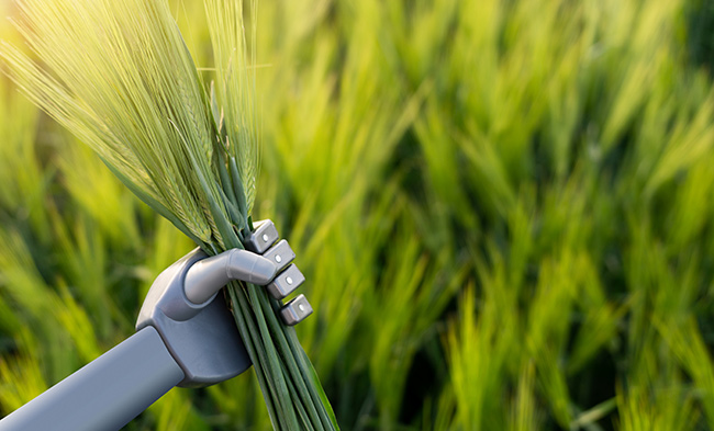 Der Mensch ist in der Landwirtschaft der Zukunft nicht mehr vorgesehen.