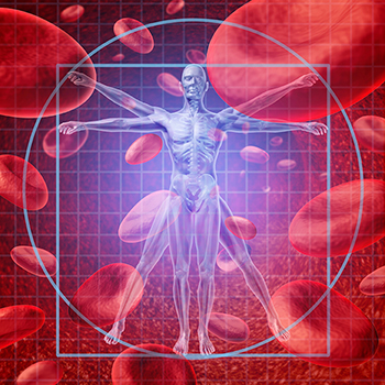 Eine futuristische, medizinische Illustration des Vitruvianischen Menschen als transparente, blau leuchtende 3D-Figur mit sichtbarem Skelett.