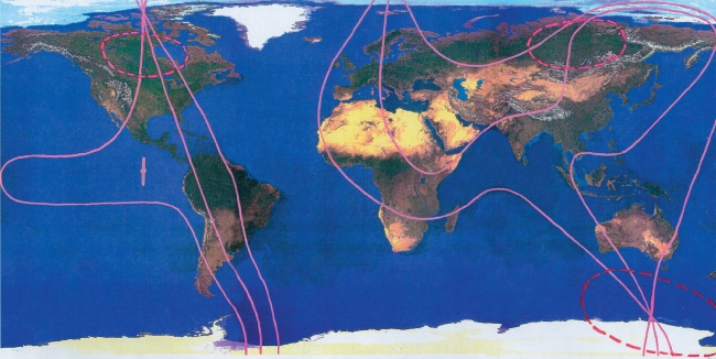 Auf diesem Satellitenfoto sind die drei Gebiete höchster Intensität des Erdmagnetfeldes eingetragen (gestrichelte Kreise). Auf der Nordhalbkugel befinden sich die zwei (!) Gebiete nicht etwa über dem magnetischen Pol, sondern weit entfernt über den größten Waldgebieten in Kanada und Sibirien. Die ausgezogenen Linien zeigen, wie stark die magnetischen Abweichungen (Deklinationslinien) durch den Pflanzenbewuchs abgelenkt werden.