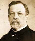 Pasteur führte grausamste Experimente an Tieren durch.