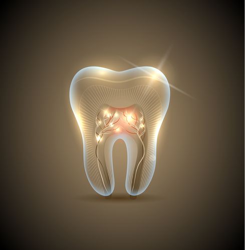 Zähne sind über die Meridiane mit den Organen im Körper verbunden.