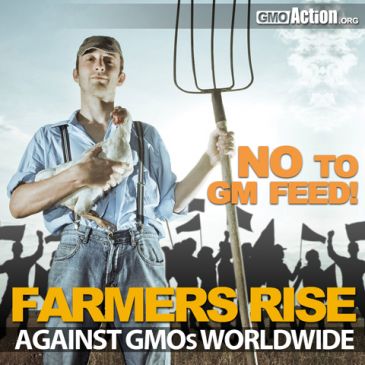Verschiedene internationale Bürger- und Bauernbewegungen wehren sich gegen genmanipuliertes Tierfutter, das letztlich auch die Menschen belastet.