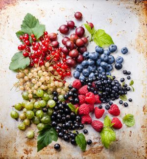 Sommerliche Vitaminbomben, die auch noch köstlich schmecken: (Von oben, Uhrzeigersinn): Rote Stachelbeeren, blaue und schwärzliche Heidelbeeren, Himbeeren, Schwarze Johannisbeeren, grüne Stachelbeeren, Weiße und Rote Johannisbeeren.