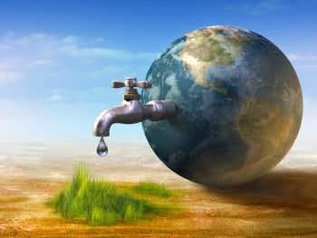 Wasser