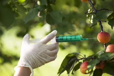 GMO GMO
